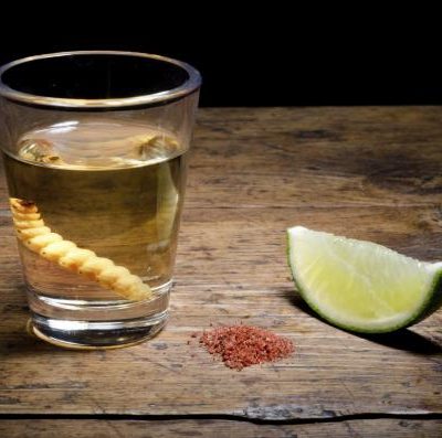 degustazione-tequila-mezcal-roma