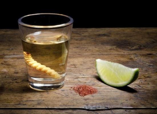 Degustazione Tequila Mezcal Roma Milano