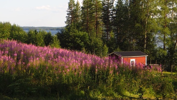 natura in svezia