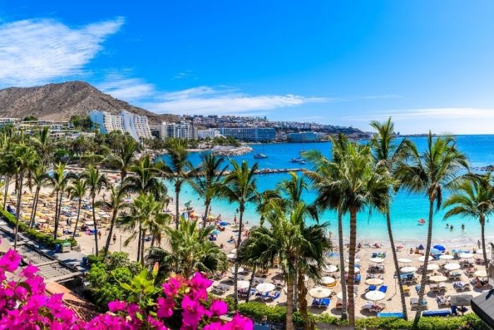 vivere alle Canarie
